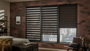 Zebra Shades vs. Traditional Blinds: Which Is Better?