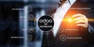 10 Best Odoo Gold Partners in the USA for Odoo ERP